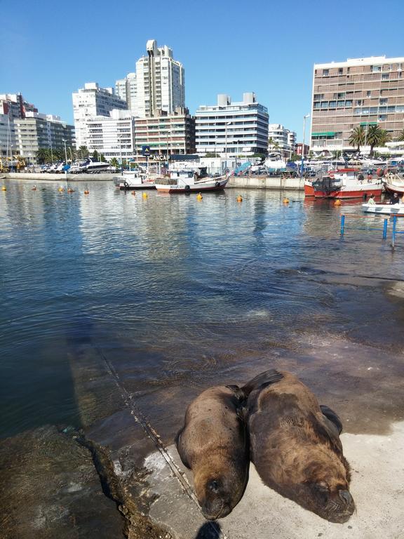 Edificio Canal Azul Punta del Este Buitenkant foto